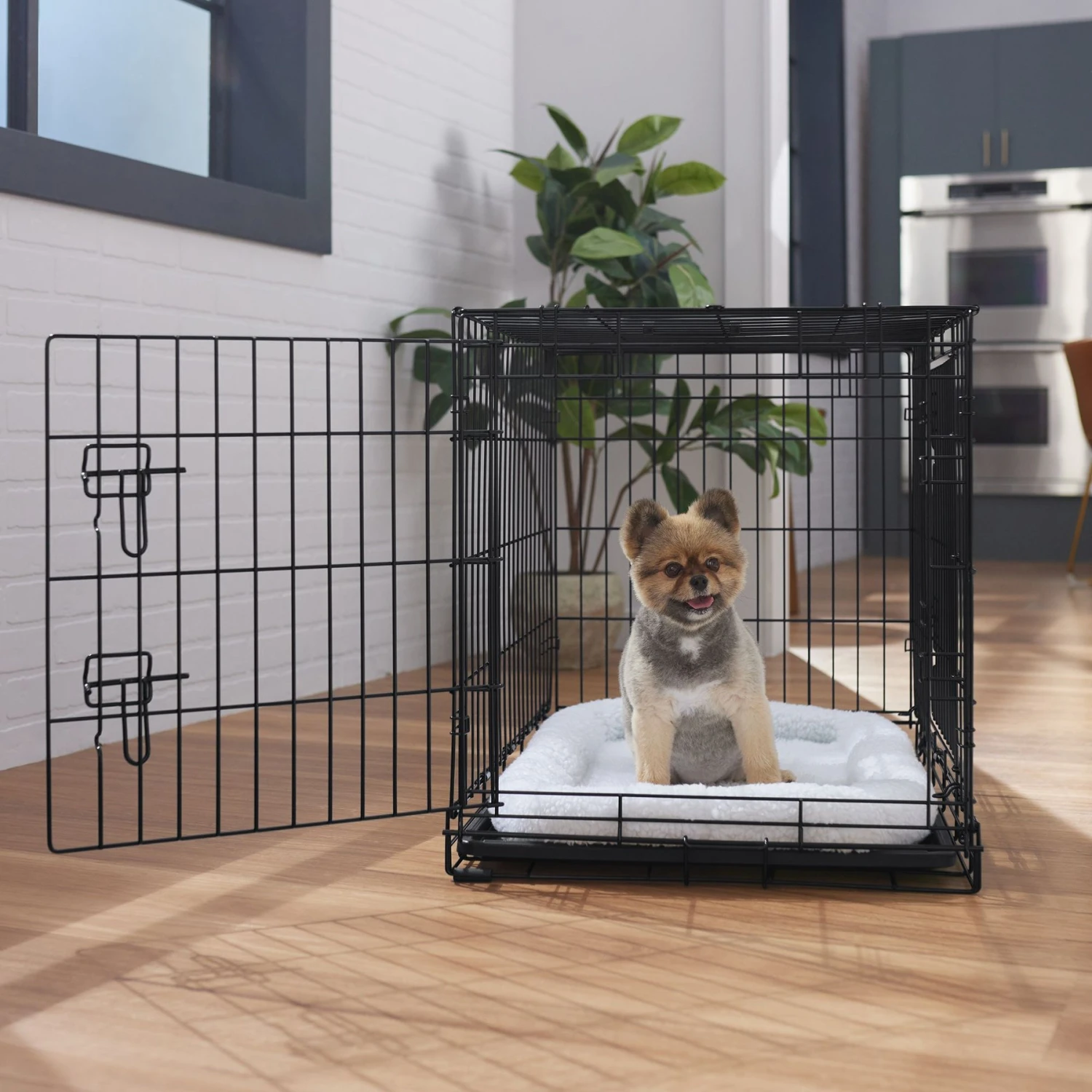 Frisco Heavy Duty Fold & Carry Double Door Collapsible Wire Dog Crate 3 Frisco Heavy Duty Fold & Carry Double Door Collapsible Wire Dog Crate