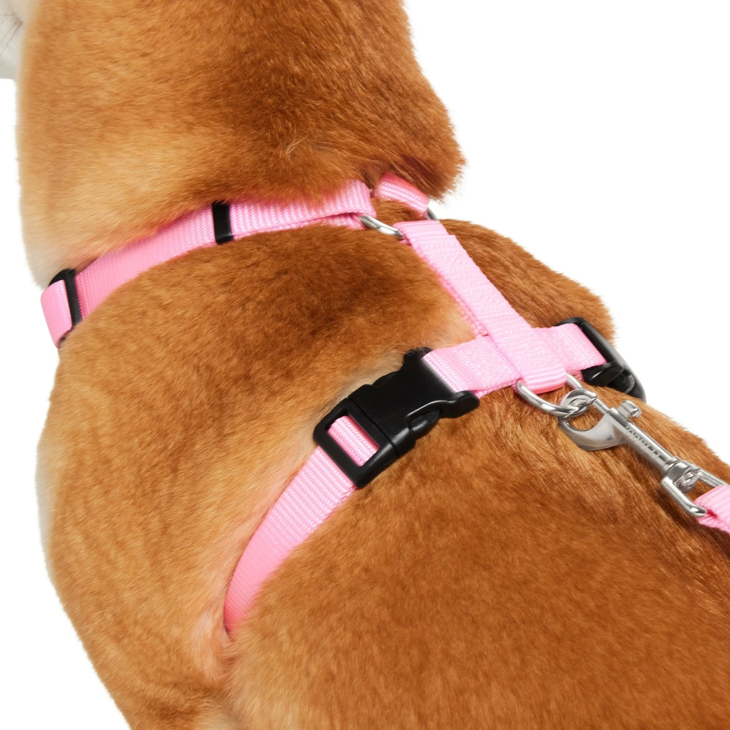Frisco Padded Nylon No Pull Dog Harness 4 Frisco Padded Nylon No Pull Dog Harness - Image 2