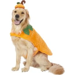 Frisco Pumpkin Dog & Cat Costume 13 Frisco Pumpkin Dog & Cat Costume -Frisco 144446 PT2. AC SS1800 V1567174700