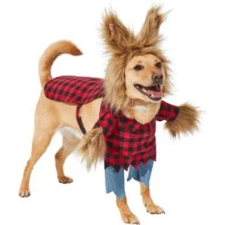 Frisco Front Walking Werewolf Dog & Cat Costume 13 Frisco Front Walking Werewolf Dog & Cat Costume -Frisco 144561 PT3. AC SS1800 V1624402152