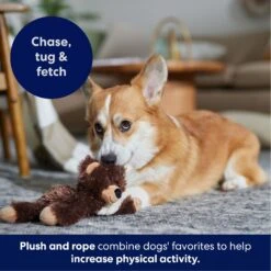 Frisco Bear Plush With Inside Rope Squeaky Dog Toy 12 Frisco Bear Plush With Inside Rope Squeaky Dog Toy -Frisco 147061 PT4. AC SS1800 V1695659155