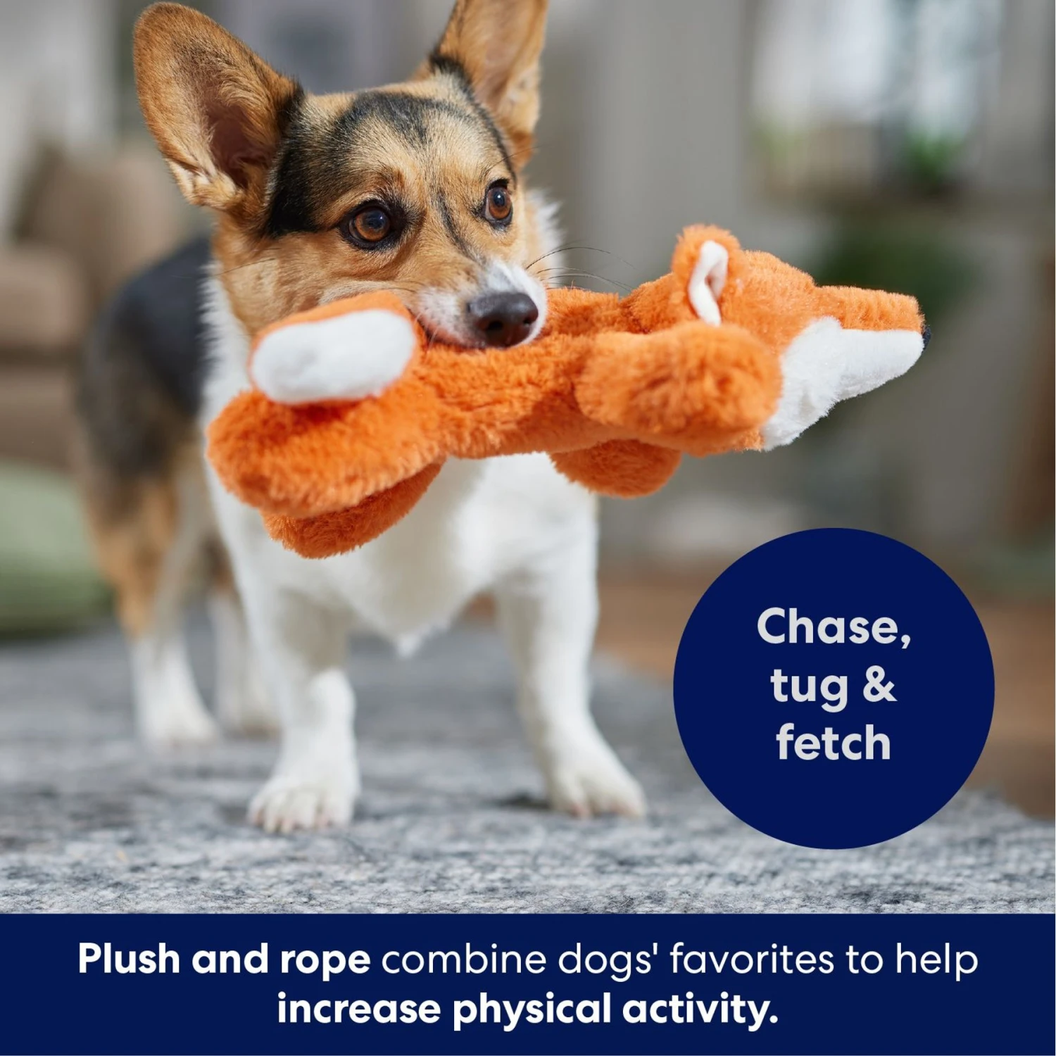 Frisco Fox Plush With Inside Rope Squeaky Dog Toy 7 Frisco Fox Plush With Inside Rope Squeaky Dog Toy - Image 5