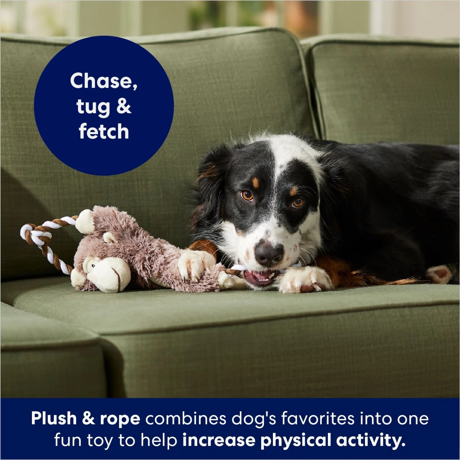 Frisco Monkey Plush With Rope Squeaky Dog Toy 6 Frisco Monkey Plush With Rope Squeaky Dog Toy - Image 4