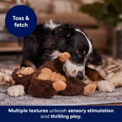 Frisco Gorilla Muscle Plush Squeaky Dog Toy 12 Frisco Gorilla Muscle Plush Squeaky Dog Toy -Frisco 147084 PT5. AC SS1800 V1694182068