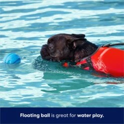 Frisco Foam Rubber Floating Fetch Ball No Squeak Dog Toy 11 Frisco Foam Rubber Floating Fetch Ball No Squeak Dog Toy -Frisco 152798 PT3. AC SS1800 V1686579688
