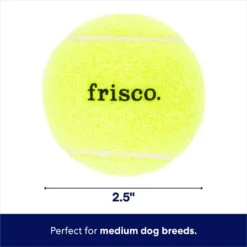 Frisco Fetch Squeaky Tennis Ball Dog Toy 10 Frisco Fetch Squeaky Tennis Ball Dog Toy -Frisco 152803 PT1. AC SS1800 V1691776636