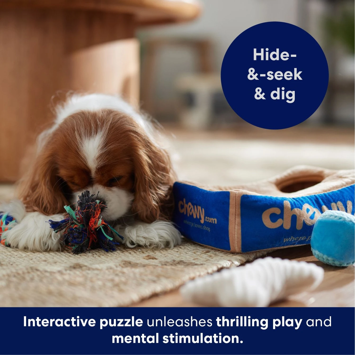 Frisco Chewy Box Hide & Seek Puzzle Plush Squeaky Dog Toy 8 Frisco Chewy Box Hide & Seek Puzzle Plush Squeaky Dog Toy - Image 6
