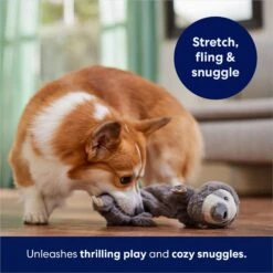 Frisco Sloth Bungee Plush Squeaky Dog Toy 12 Frisco Sloth Bungee Plush Squeaky Dog Toy -Frisco 152826 PT5. AC SS1800 V1686579214