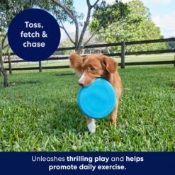 Frisco Fetch Rubber Flyer Dog Toy 8 Frisco Fetch Rubber Flyer Dog Toy -Frisco 152848 PT5. AC SS1800 V1692370079