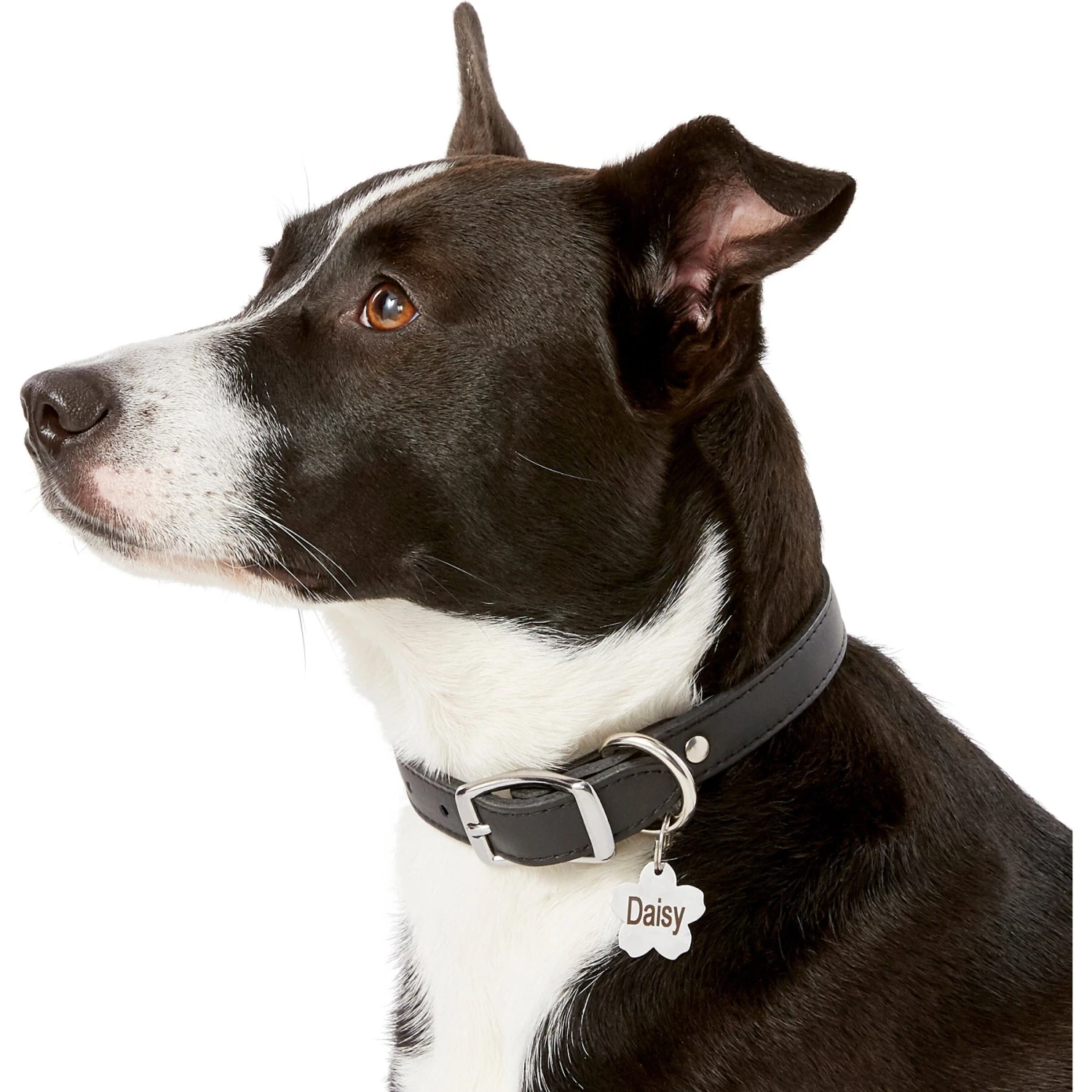 Frisco Stainless Steel Personalized Dog & Cat ID Tag, Flower 8 Frisco Stainless Steel Personalized Dog & Cat ID Tag, Flower - Image 6