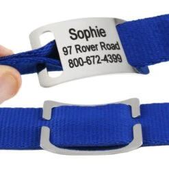 Frisco Stainless Steel Slide-On Personalized Dog & Cat Tag, Open Design 8 Frisco Stainless Steel Slide-On Personalized Dog & Cat Tag, Open Design -Frisco 153050 PT2. AC SS1800 V1644022614