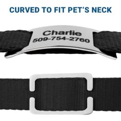 Frisco Stainless Steel Slide-On Personalized Dog & Cat Tag, Open Design 10 Frisco Stainless Steel Slide-On Personalized Dog & Cat Tag, Open Design -Frisco 153050 PT4. AC SS1800 V1644016599