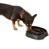 Frisco Non-Skid Slow Feeder Dog & Small Pet Bowl 2 Frisco Non-Skid Slow Feeder Dog & Small Pet Bowl -Frisco 155648 MAIN. AC SS1800 V1578432852