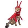 Frisco Red Lobster Dog & Cat Costume 2 Frisco Red Lobster Dog & Cat Costume -Frisco 158723 MAIN. AC SS1800 V1659023206