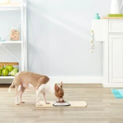 Frisco Non-Skid Stainless Steel Bowl 9 Frisco Non-Skid Stainless Steel Bowl -Frisco 159860 PT3. AC SS1800 V1570543131