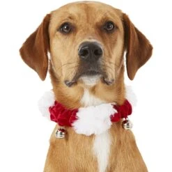 Frisco Jingle Bells Dog & Cat Holiday Collar With Bells, 1 Count 10 Frisco Jingle Bells Dog & Cat Holiday Collar With Bells, 1 Count -Frisco 160063 PT2. AC SS1800 V1669101088