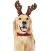 Frisco Holiday Antler Headband & Bell Collar Dog & Cat Costume 2 Frisco Holiday Antler Headband & Bell Collar Dog & Cat Costume -Frisco 160658 Main. AC SS1800 V1568818034