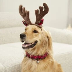 Frisco Holiday Antler Headband & Bell Collar Dog & Cat Costume 10 Frisco Holiday Antler Headband & Bell Collar Dog & Cat Costume -Frisco 160658 PT4. AC SS1800 V1568818037