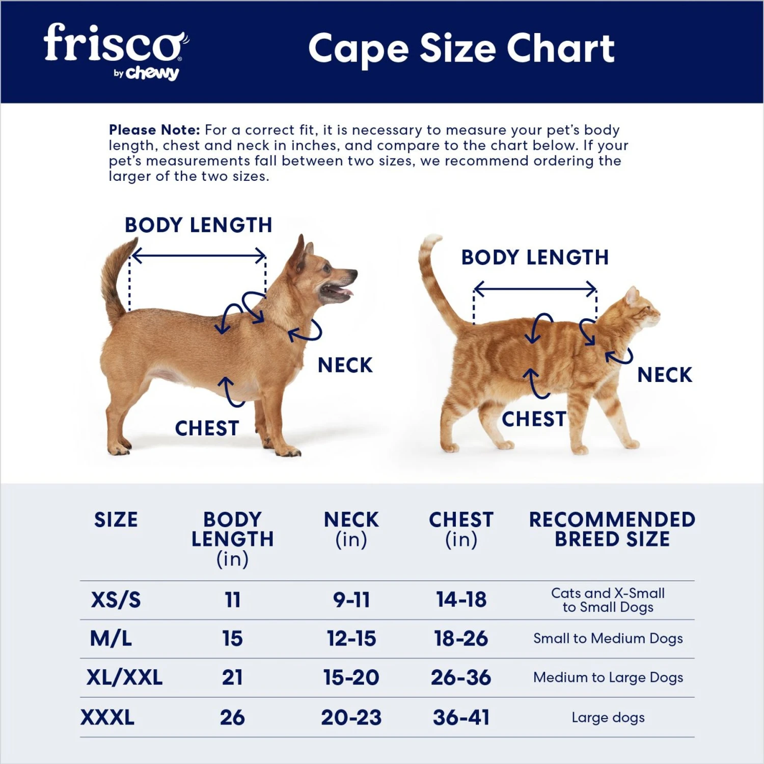 Frisco Vampire Cape Dog & Cat Costume 4 Frisco Vampire Cape Dog & Cat Costume - Image 2