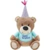 Frisco Birthday Bear Plush Squeaky Dog Toy 2 Frisco Birthday Bear Plush Squeaky Dog Toy -Frisco 162836 Main. AC SS1800 V1565379440