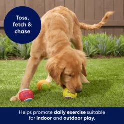 Frisco Birthday Fetch Squeaky Tennis Ball Dog Toy 13 Frisco Birthday Fetch Squeaky Tennis Ball Dog Toy -Frisco 162914 PT5. AC SS1800 V1692020098