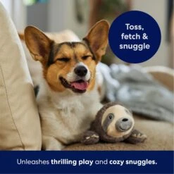 Frisco Sloth Plush Squeaky Dog Toy 12 Frisco Sloth Plush Squeaky Dog Toy -Frisco 174681 PT4. AC SS1800 V1695671029