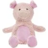 Frisco Pig Textured Plush Squeaky Dog Toy 2 Frisco Pig Textured Plush Squeaky Dog Toy -Frisco 174695 Main. AC SS1800 V1572616376