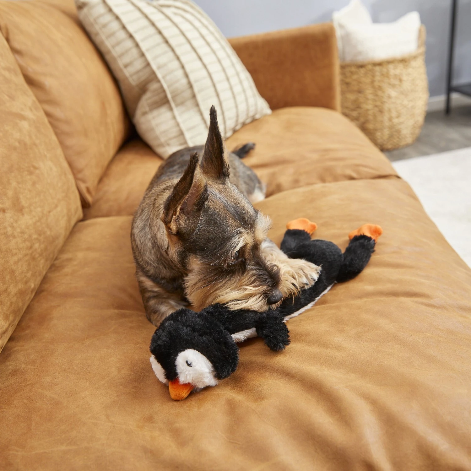 Frisco Penguin Skinny Plush Squeaky Dog Toy 5 Frisco Penguin Skinny Plush Squeaky Dog Toy - Image 3