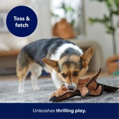 Frisco Beaver Stuffing-Free Flat Plush Squeaky Dog Toy 12 Frisco Beaver Stuffing-Free Flat Plush Squeaky Dog Toy -Frisco 174729 PT4. AC SS1800 V1695671063