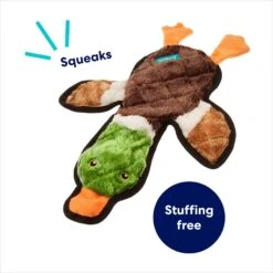 Frisco Mallard Stuffing-Free Flat Plush Squeaky Dog Toy 10 Frisco Mallard Stuffing-Free Flat Plush Squeaky Dog Toy -Frisco 174731 PT2. AC SS1800 V1686579090