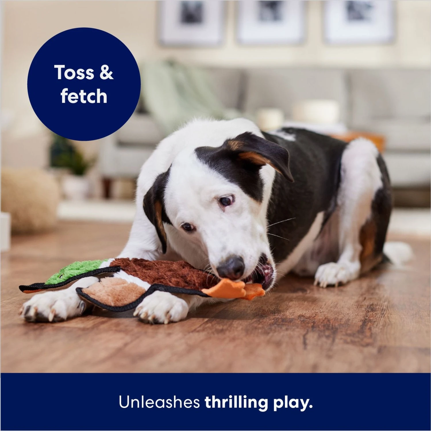 Frisco Mallard Stuffing-Free Flat Plush Squeaky Dog Toy 7 Frisco Mallard Stuffing-Free Flat Plush Squeaky Dog Toy - Image 5