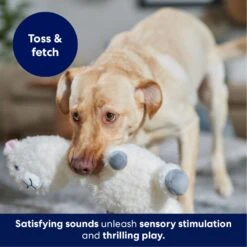 Frisco Llama Bobberz Plush Squeaky Dog Toy 12 Frisco Llama Bobberz Plush Squeaky Dog Toy -Frisco 174741 PT4. AC SS1800 V1695671063