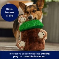 Frisco Monkeys In Tree Hide & Seek Puzzle Plush Squeaky Dog Toy 14 Frisco Monkeys In Tree Hide & Seek Puzzle Plush Squeaky Dog Toy -Frisco 174759 PT5. AC SS1800 V1702598595