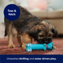 Frisco Latex Squeaky Puppy Toy 12 Frisco Latex Squeaky Puppy Toy -Frisco 174775 PT5. AC SS1800 V1691784247