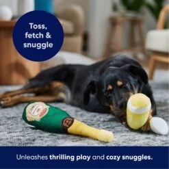 Frisco Champagne & Flute Plush Squeaky Dog Toy 12 Frisco Champagne & Flute Plush Squeaky Dog Toy -Frisco 183243 PT4. AC SS1800 V1695748410