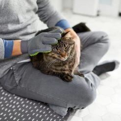 Frisco Dog & Cat Grooming Glove, Right Hand 15 Frisco Dog & Cat Grooming Glove, Right Hand -Frisco 206845 PT6. AC SS1800 V1610762805