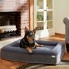 Frisco Orthopedic Rectangular Bolster Cat & Dog Bed W/Removable Cover 2 Frisco Orthopedic Rectangular Bolster Cat & Dog Bed W/Removable Cover -Frisco 210226 MAIN. AC SS1800 V1590067652