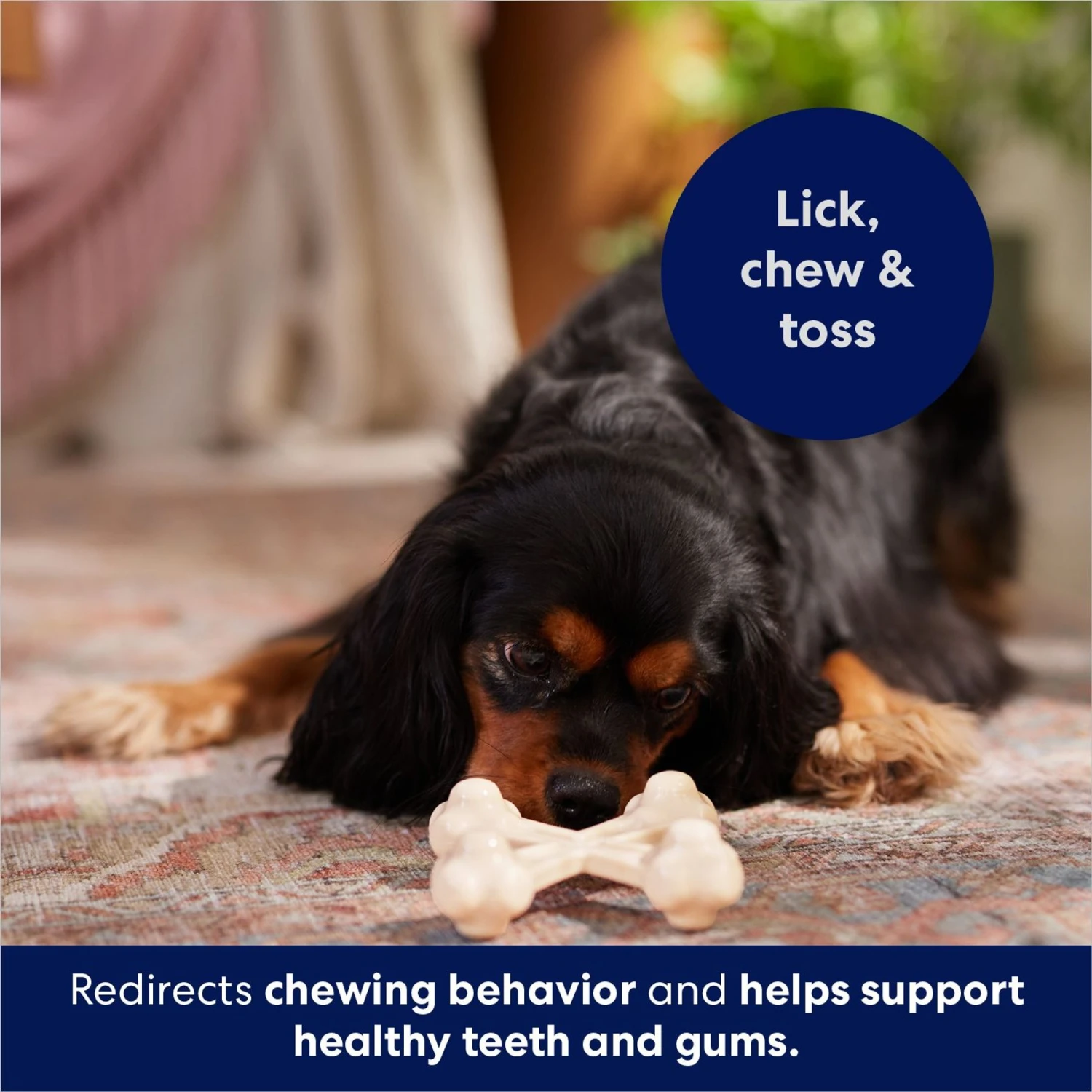 Frisco Chicken Flavor Tough Nylon Dog Chew Toy 7 Frisco Chicken Flavor Tough Nylon Dog Chew Toy - Image 5