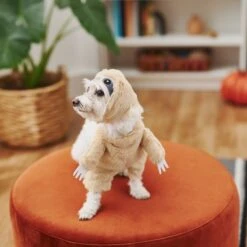 Frisco Front Walking Sloth Dog & Cat Costume 13 Frisco Front Walking Sloth Dog & Cat Costume -Frisco 215539 PT8. AC SS1800 V1599141353