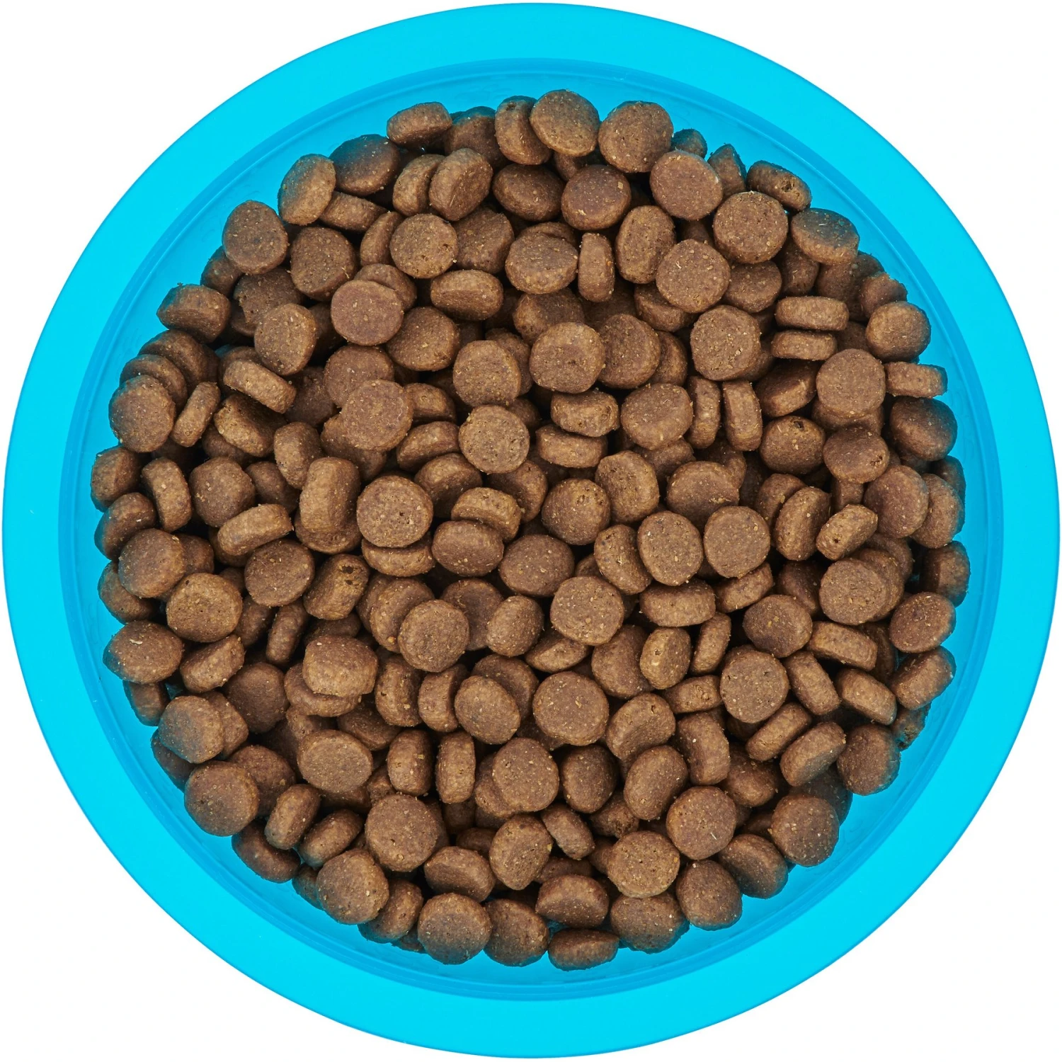 Frisco Plastic Suction Bowl, Blue 7 Frisco Plastic Suction Bowl, Blue - Image 5