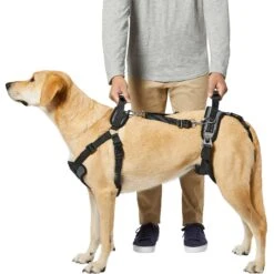 Frisco Front & Rear Lift Handicapped Support Dog Harness 11 Frisco Front & Rear Lift Handicapped Support Dog Harness -Frisco 220372 PT5. AC SS1800 V1605749597