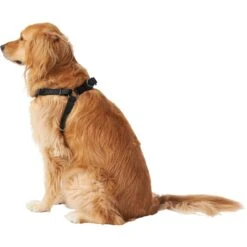 Frisco Nylon Step In Back Clip Dog Harness 10 Frisco Nylon Step In Back Clip Dog Harness -Frisco 220519 PT3. AC SS1800 V1605593555