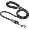 Frisco Rope Dog Leash With Padded Handle 2 Frisco Rope Dog Leash With Padded Handle -Frisco 221218 MAIN. AC SS1800 V1701796765