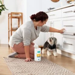 Frisco Vinegar Cleaning Wipes, 70 Count 11 Frisco Vinegar Cleaning Wipes, 70 Count -Frisco 222151 PT4. AC SS1800 V1602847932