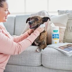 Frisco Hot Spot Relief Wipes 7 Frisco Hot Spot Relief Wipes -Frisco 222163 PT1. AC SS1800 V1602832885