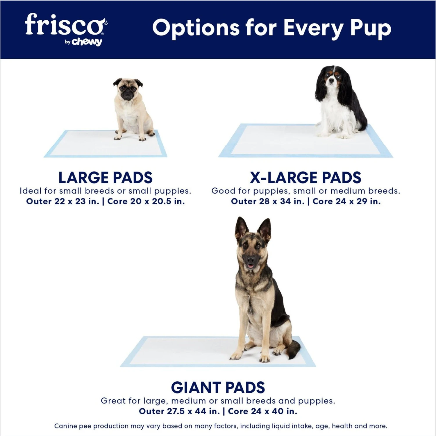 Frisco Giant Charcoal Dog Training & Potty Pads 6 Frisco Giant Charcoal Dog Training & Potty Pads - Image 4