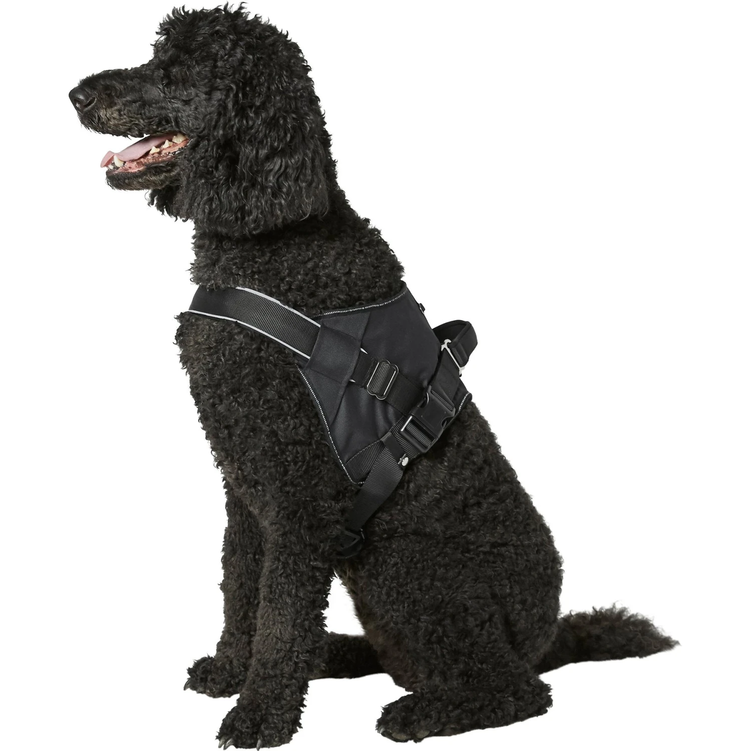 Frisco Big Dog Harness 7 Frisco Big Dog Harness - Image 5
