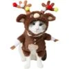Frisco Front Walking Reindeer Dog & Cat Costume, 1 Count -Frisco 228790 MAIN. AC SS1800 V1636731115