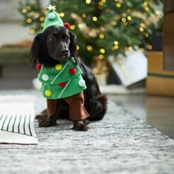 Frisco Front Walking Christmas Tree Dog & Cat Costume 14 Frisco Front Walking Christmas Tree Dog & Cat Costume -Frisco 229164 PT7. AC SS1800 V1601385981