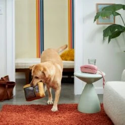 Frisco Retro Television Ballistic Nylon Plush Squeaky Dog Toy 7 Frisco Retro Television Ballistic Nylon Plush Squeaky Dog Toy -Frisco 230308 PT3. AC SS1800 V1601947325